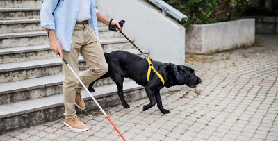 Être kinésithérapeute et malvoyant, c'est possible !