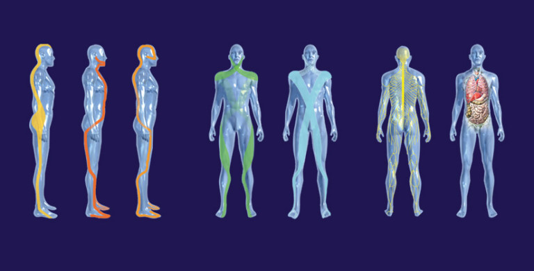 Chaînes Physiologiques : la méthode Busquet kiné